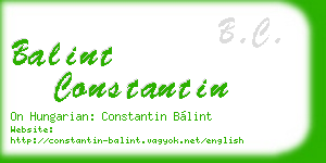 balint constantin business card